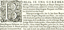 Dalmatin Jurij3