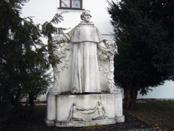 Mendel Johann5