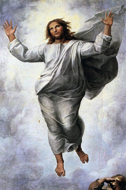 Santi Raffaello7