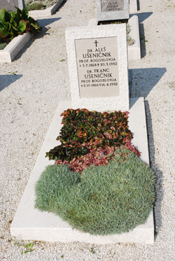 Usenicnik Ales2