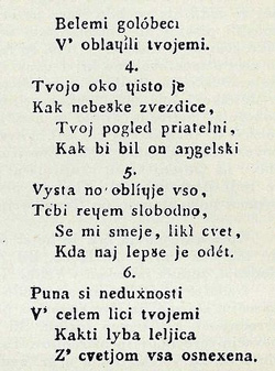 Dajnko Peter2