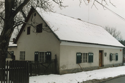 Glaser Janko2