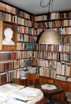 Glaser Janko5