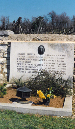 Kosovel3