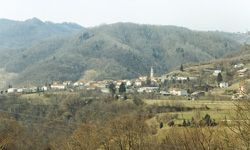 Vodopivec Vinko2