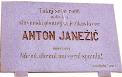 Janezic Anton3