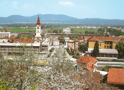 Potocnik Blaz2