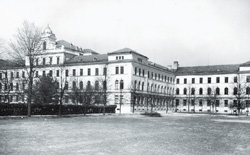Gnidovec Janez6