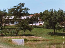 Slodnjak2