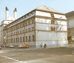 Kozler Peter4