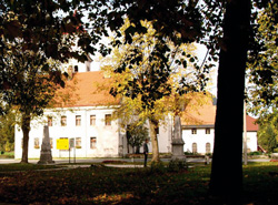 Cigale Matej5