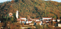 Podreka Peter1