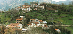 Podreka Peter2
