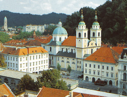 Hren Tomaz1