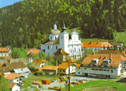 Hren Tomaz2