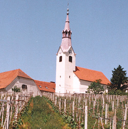 Vraz Stanko4