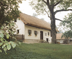 Zorec Ivan2