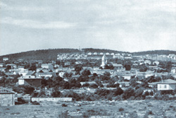 Kuhelj Anton3