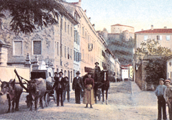 Kos Franc2