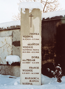 Vodnik France4