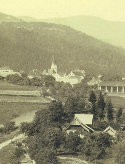 Drzecnik Maksimilijan2