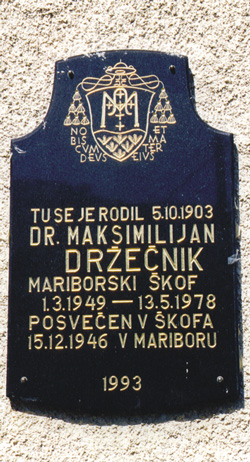 Drzecnik Maksimilijan3