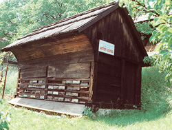 Jansa Anton4