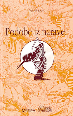 Kozelj Anton3