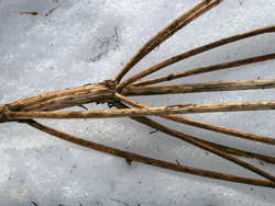 povejmo z zgodbo 01 2005e