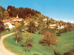 Krek Gregor2