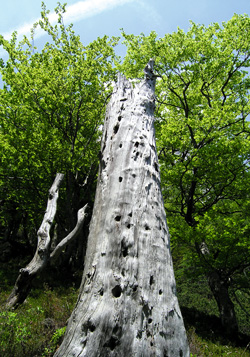 povejmo z zgodbo 07 2005a