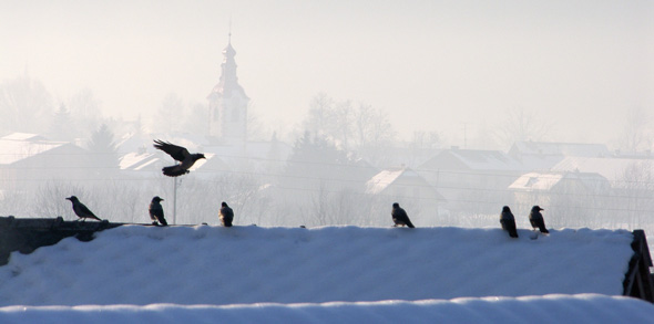povejmo z zgodbo 02 2006b