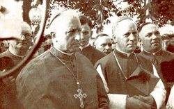 Rozman Gregorij2