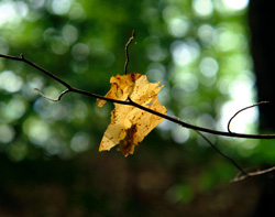 povejmo z zgodbo 06 2006a