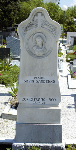 Sardenko Silvin4