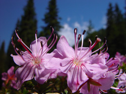 povejmo z zgodbo 08 2005b