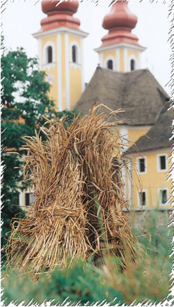 zgodba3 09 2006
