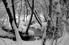 povejmo z zgodbo 12 2006d