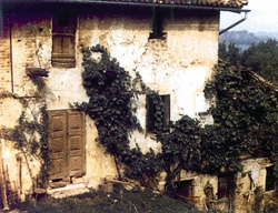 Marjeta Bosco2