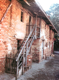 Marjeta Bosco3