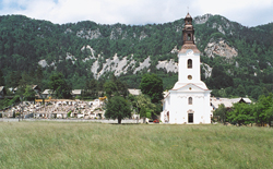 Zupan Tomo4