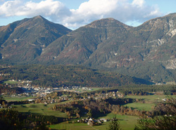 Levicnik Jernej3