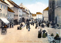Bleiweis Janez2
