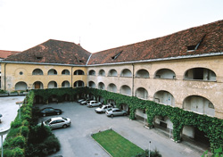 Gruden Josip4