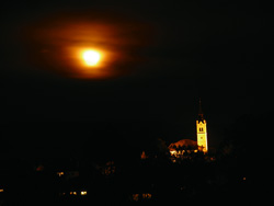 zgodba1 03 2009