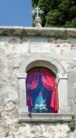 cusin kolumna 05 2009