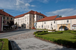 blazeni Slomsek07
