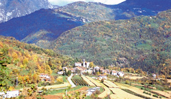 Kufolo Anton2