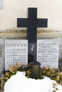 Gostic4