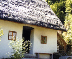 Kosmac Ciril2